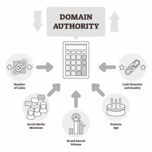 دامین آتوریتی چیست؟ چگونه دامین اتوریتی سایت را افزایش دهیم؟ چرا باید domain authority را افزیش دهیم؟